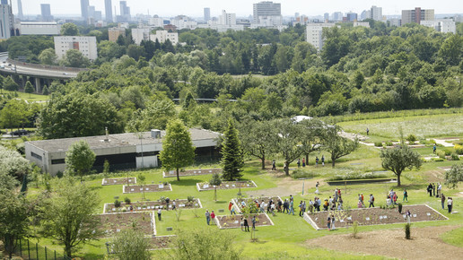 arzneipflanzengarten ffm 01 uniffm