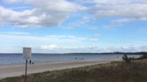 b Bltenhagen1.Herrmann