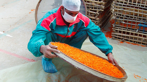 ringelblumen einkauf aegypten 7 02