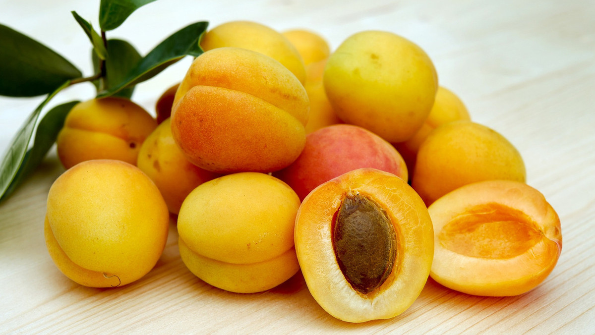 Krebstherapie: Aprikosenkerne statt Chemo?