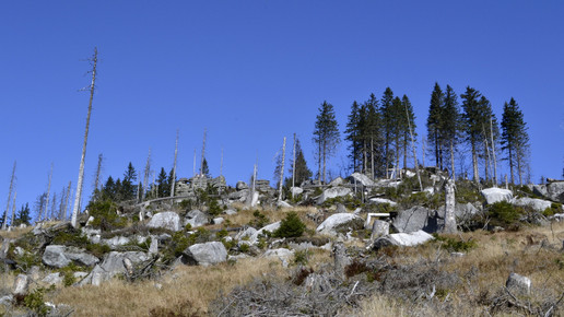 Dreisesselberg Bayerischer Wald High Contrast CC BY 30