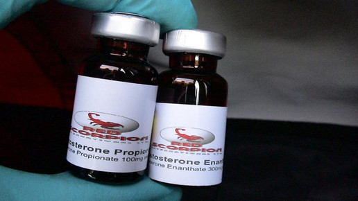 Zoll Hamburg Anabolika