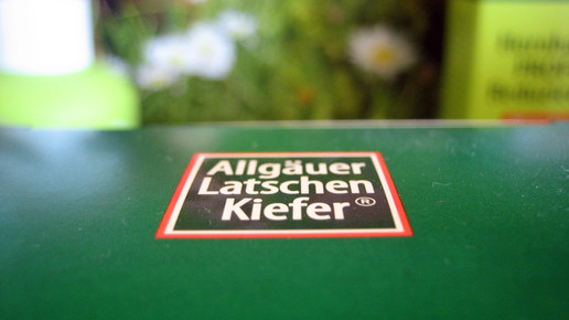 allgaeuer latschenkiefer10 aa