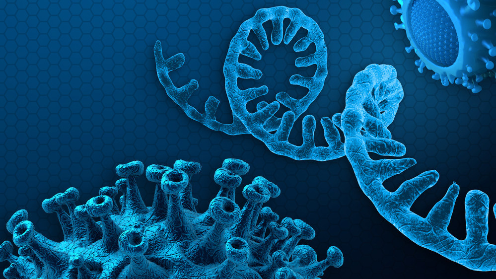 England + Südafrika: Neue Kombi-Mutation aufgetaucht