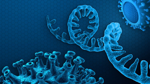 Omikron: Was hilft gegen die neue Variante?