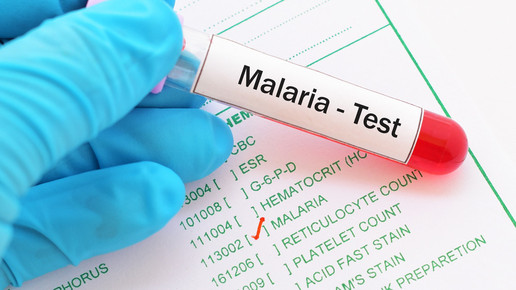 Test auf Malaria