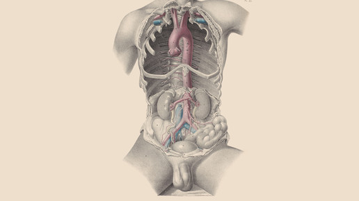 victorian mann wellcomecollection