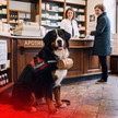 KI-Bild zeigt Hund in Apotheke