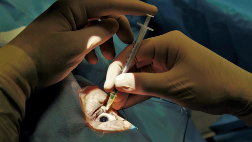 5 Jahre Knast: Augenarzt betrügt mit Medikamentencocktail