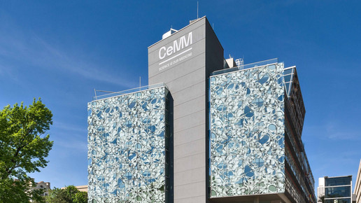 Impfstoffe halten Immunsystem fit