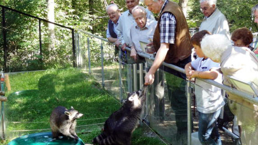 fahrt3 altenheim nelles