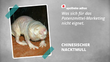 Die miesesten Maskottchen