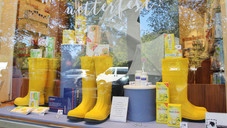 Herbstdeko: Ideen für das Schaufenster