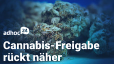 adhoc24 vom 30.06.2022