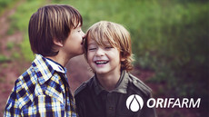 BN KW 18 Orifarm Visual