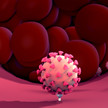 Immunthrombozytopenie: Risiko auch bei anderen Impfstoffen? Immunthrombozytopenie: Risiko auch bei anderen Impfstoffen?