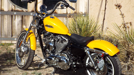 11134100 906740106056756 6490863125437178035 o