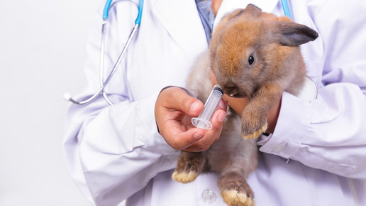 PEI: Kaninchen-Pyrogentest wird weitgehend gestrichen