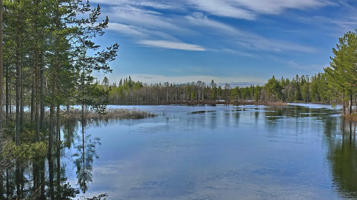 Schweden Rosel Eckstein pixeliode