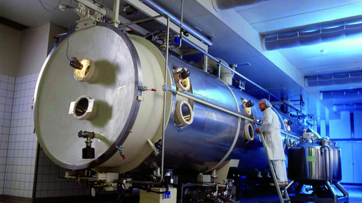 ginkgo produktion trockner drwillmarschwabe