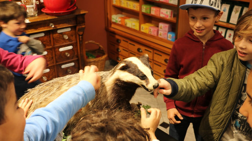 Kurapotheke Bad Ischl Besuch Zweitklaessler02 Kurapotheke