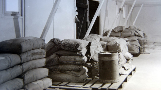 ddr bombastus bombastus14