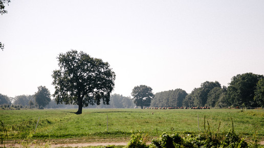 pohl-boskamp bloggertreffen7 Saskia Bauermeister