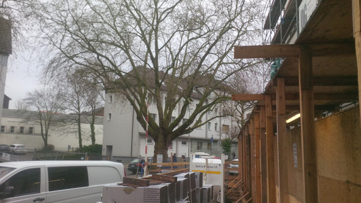 AErztehaus 9 Straussen-Apotheke