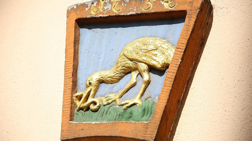 aussen 3 Apotheke Goldener Storch