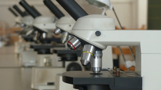 Kaum Interesse: PTA-Lehrgang wird gestrichen