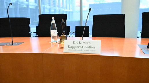 AfD kapert Gesundheitsausschuss