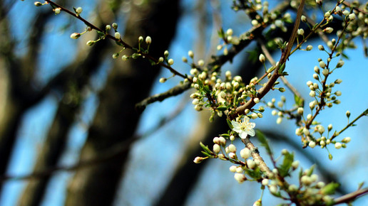 finalistin10 landschaft claudia lippert