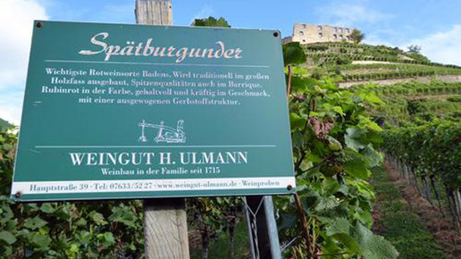 rokitta busreisen freiburg4 rokitta