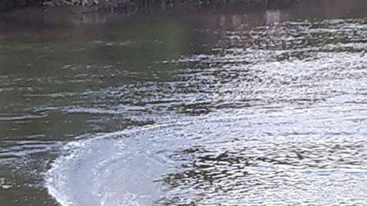 160628 irland drohne courtney robinson