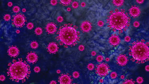 Antikörper gegen Covid-19 entdeckt