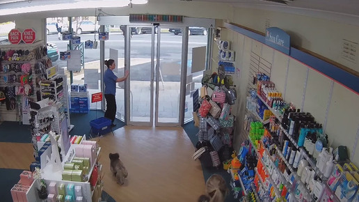 Koala in Apotheke 9 Screenshot