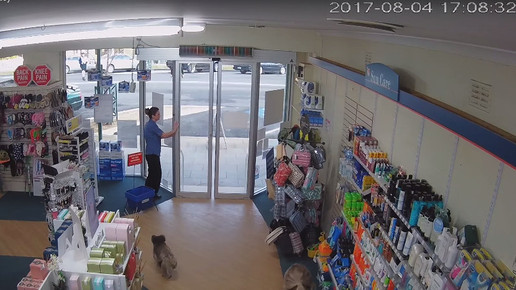 Koala in Apotheke 9 Screenshot