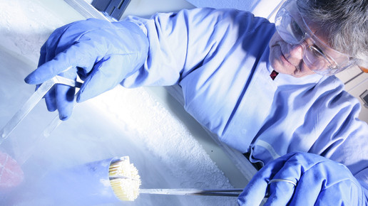 US-Zulassung für Venclexta