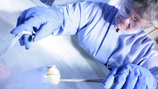 Forschung für die Gesundheit