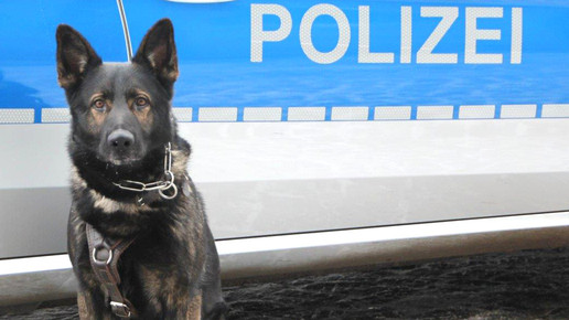 Bonn: Überfall mit Schraubenzieher