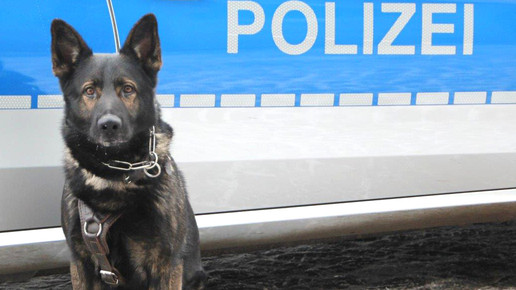 Dresden: Räuber überfällt Apotheke mit Pistole