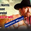 Neues von Chuck Norris