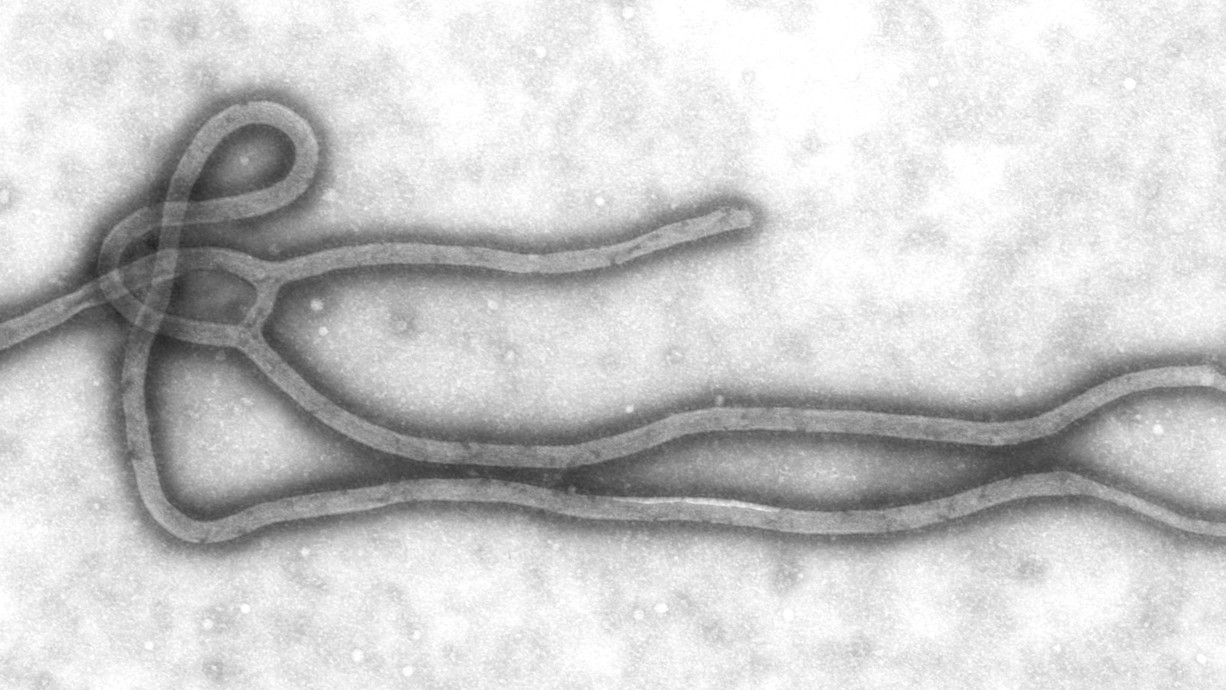 ebola-patient-soll-in-deutschland-behandelt-werden-apotheke-adhoc