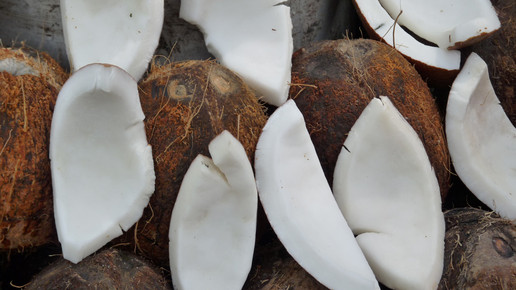 kokosnuss pixeliode Dieter Schuetz