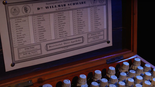 schwabe historisch9 screenshot