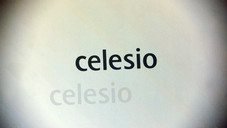 Celesio: Die Amerikaner sind da 