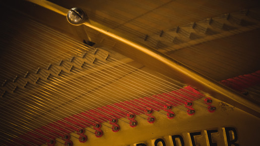 revoice of pharmacy saiten