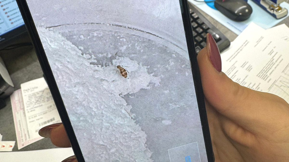 Schreck-in-der-Apotheke-Laus-in-Rezeptursubstanz