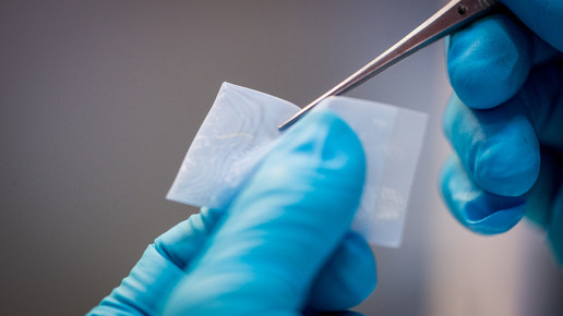 labor charite19 andreas domma