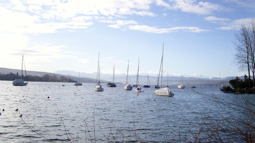 zueri-see zuerich aa
